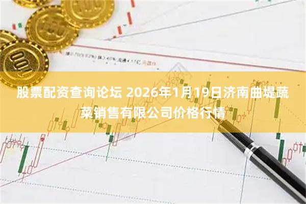 股票配资查询论坛 2026年1月19日济南曲堤蔬菜销售有限公司价格行情