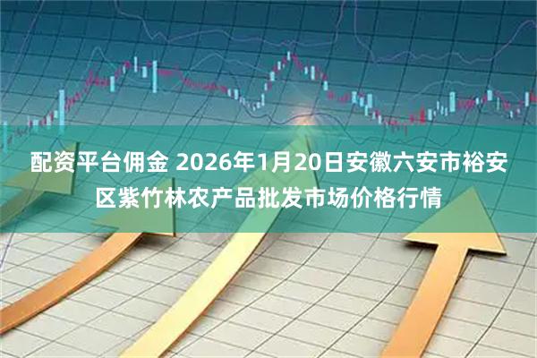 配资平台佣金 2026年1月20日安徽六安市裕安区紫竹林农产品批发市场价格行情