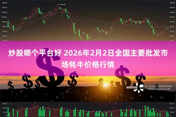 炒股哪个平台好 2026年2月2日全国主要批发市场牦牛价格行情